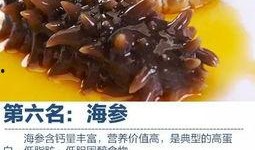爆料海参被打视频大全下载,一场海洋生态的警示录